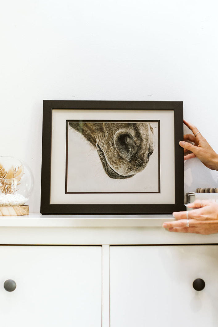 horse artwork in frame