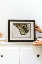 horse artwork in frame
