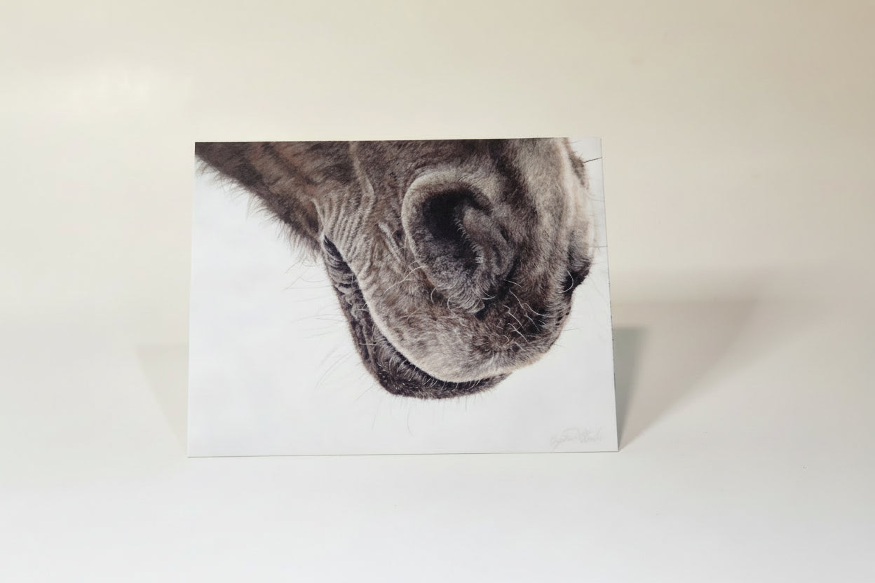 Greeting Card 'Never Say Goodbye' Horse image 0
