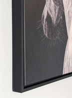 Close-up of a framed black and white artwork on canvas of a horse drawn by Crystal Clarke 
