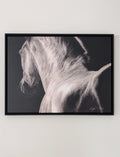 In the Rising Darkness horse canvas print full view black and white artwork by Crystal Clarke