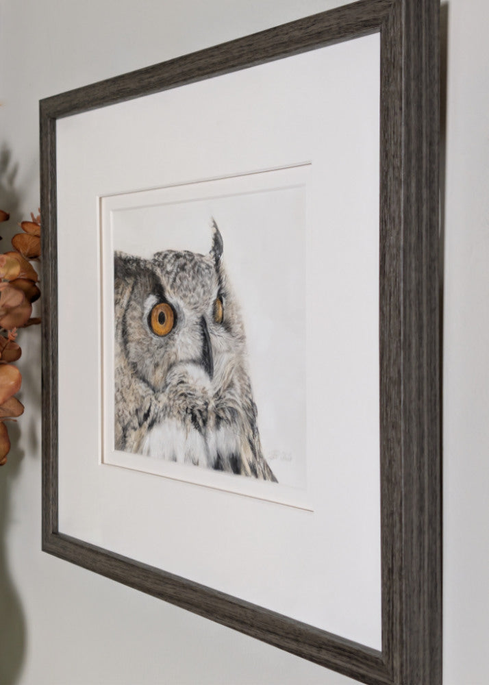 Framed picture of an owl on a wall