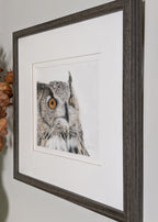 Framed picture of an owl on a wall