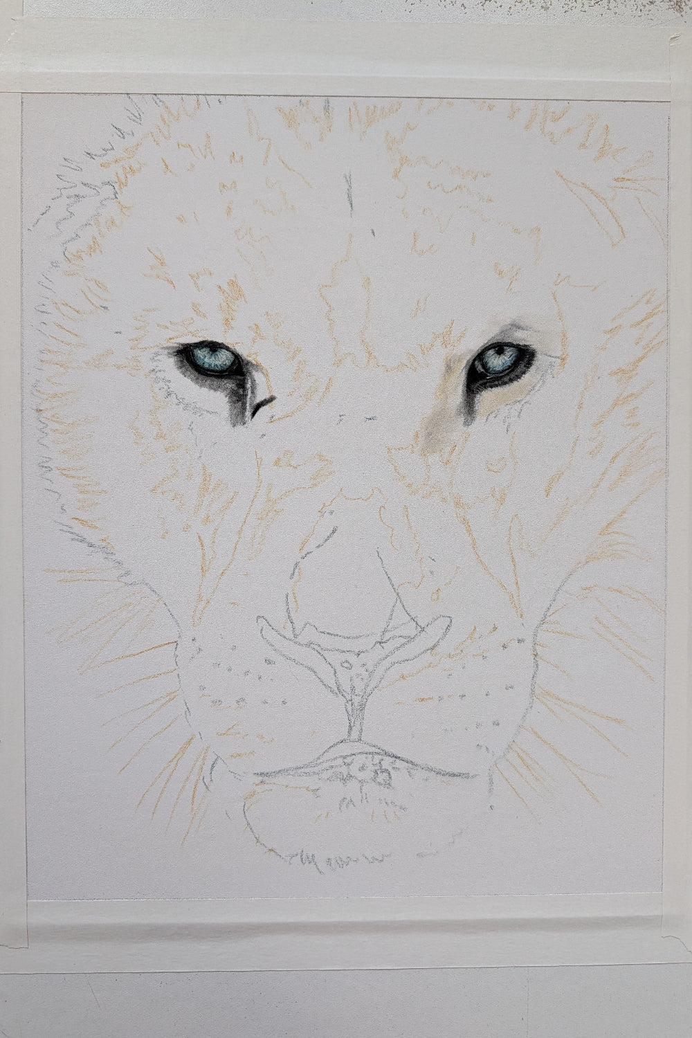 Artistic depiction of a lion's face with a white background