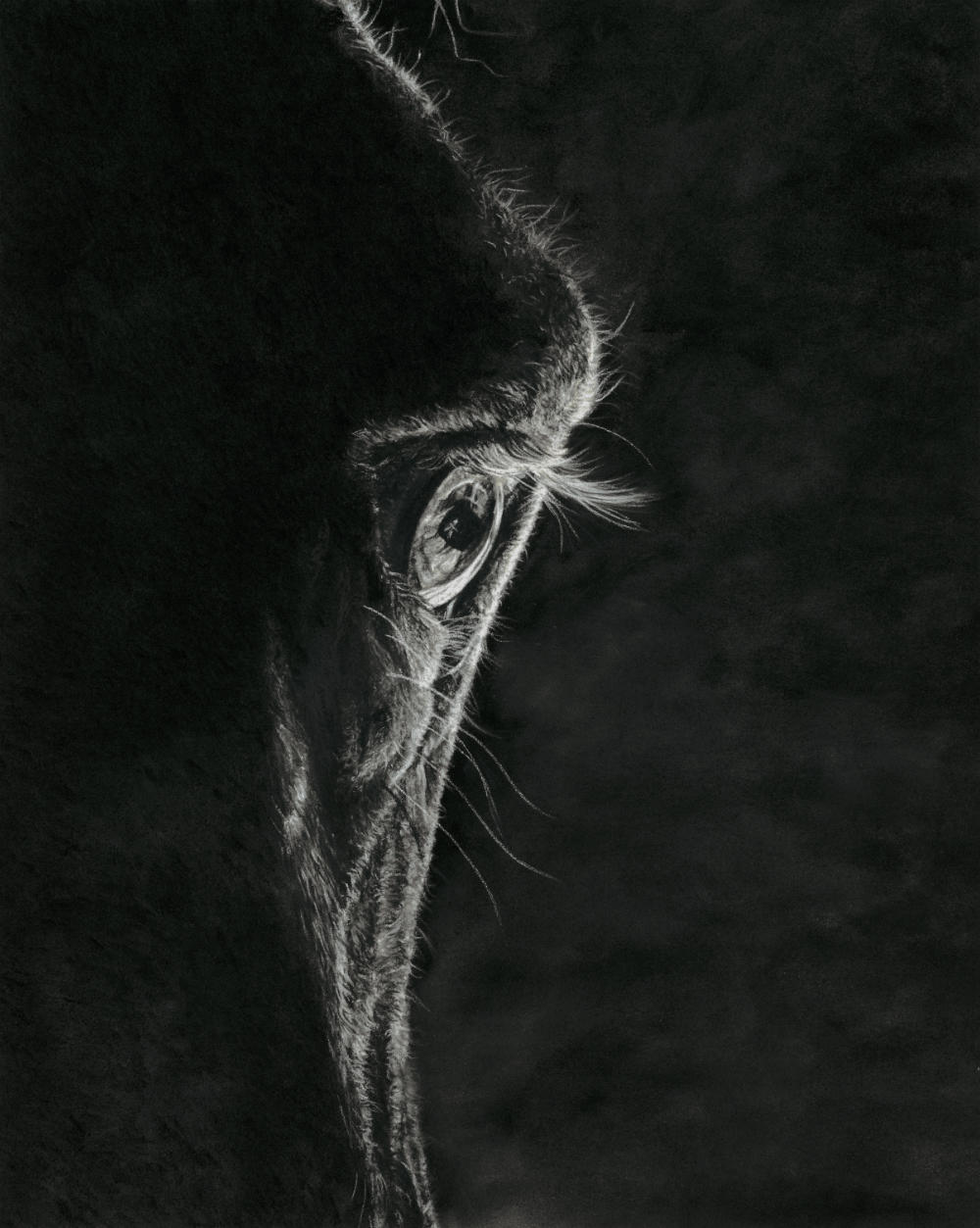 "A Loving Look Defined" 8x10" Framed Pastel Original image 3