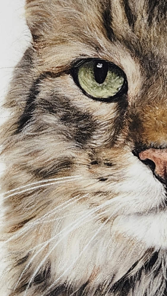 Award-Winning 'Majesty' Cat Fine Art Print image 1