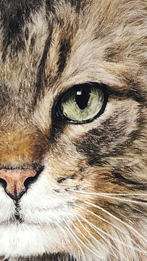 Award-Winning 'Majesty' Cat Fine Art close up