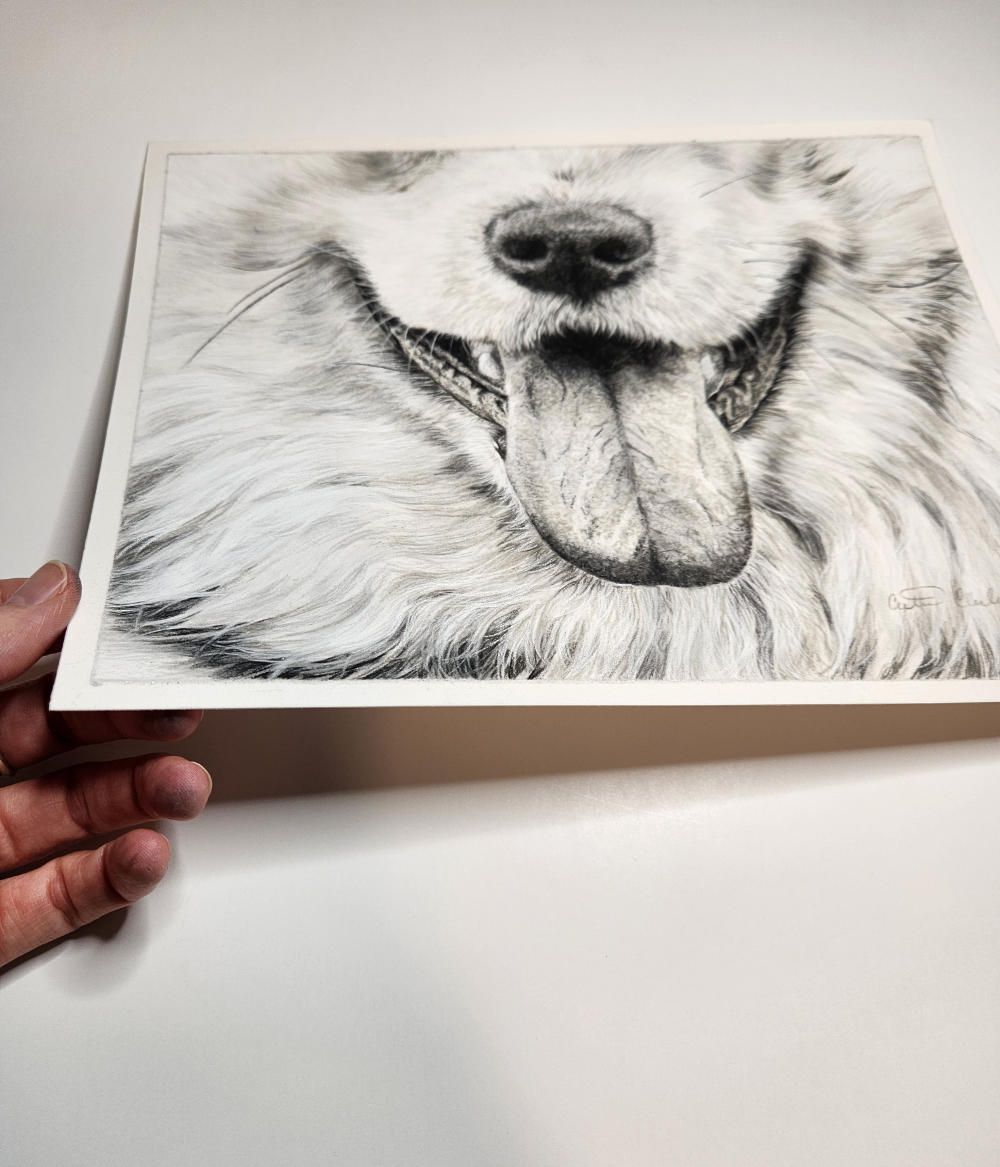 Pastel drawing of a dog's face held by the artist's hand on a white surface
