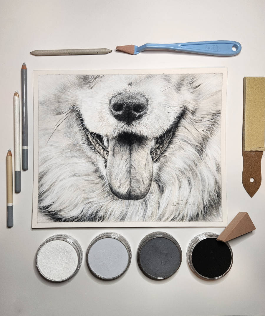 Artistic drawing of a dog's face with art supplies on a light gray background