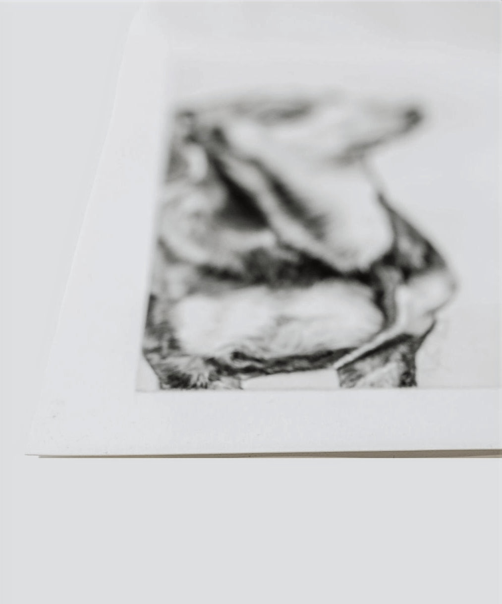 Black and white drawing of dog on a white background