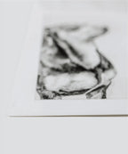 Black and white drawing of dog on a white background