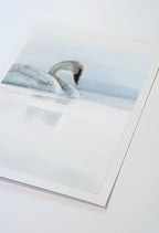 Artwork of a swan drawn on pastelmat lying on a white table