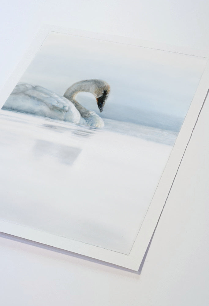 Artwork of a swan drawn on pastelmat lying on a white table