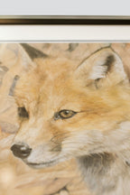 Close-up of a fox drawn in pastel