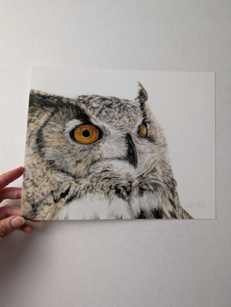 Artist holding a print of an owl with a white background