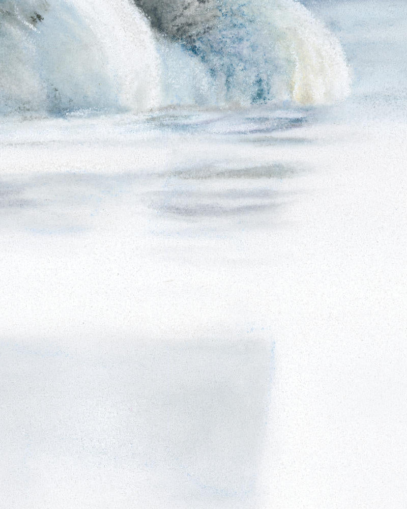 Close-up of a white swan on water drawn in pastel