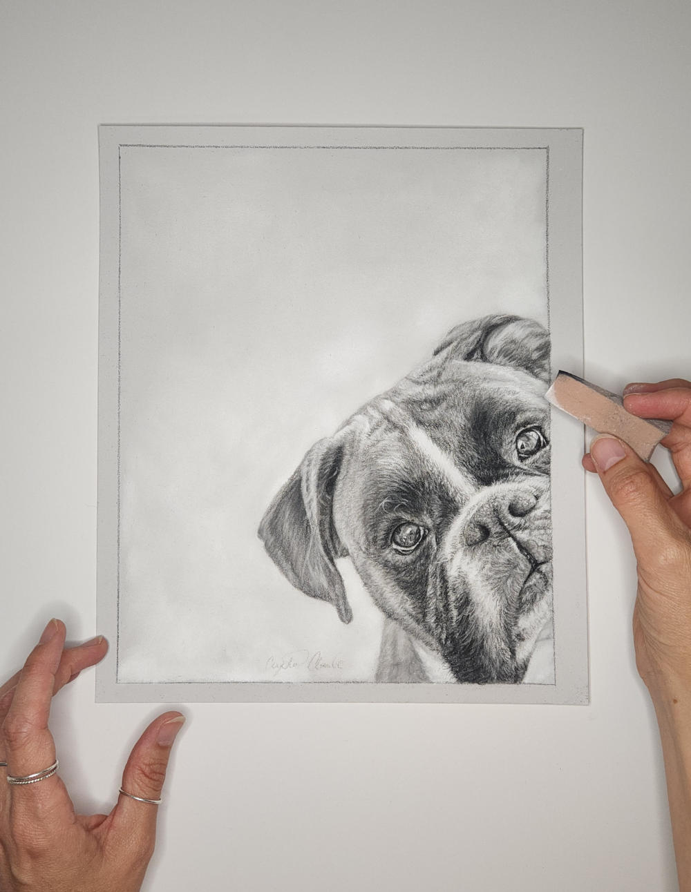 Pastel drawing of boxer dog 'Want to Play' with materials