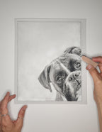 Pastel drawing of boxer dog 'Want to Play' with materials