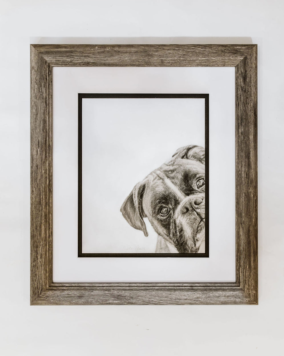Pastel drawing of boxer framed on wall