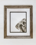 Pastel drawing of boxer framed on wall