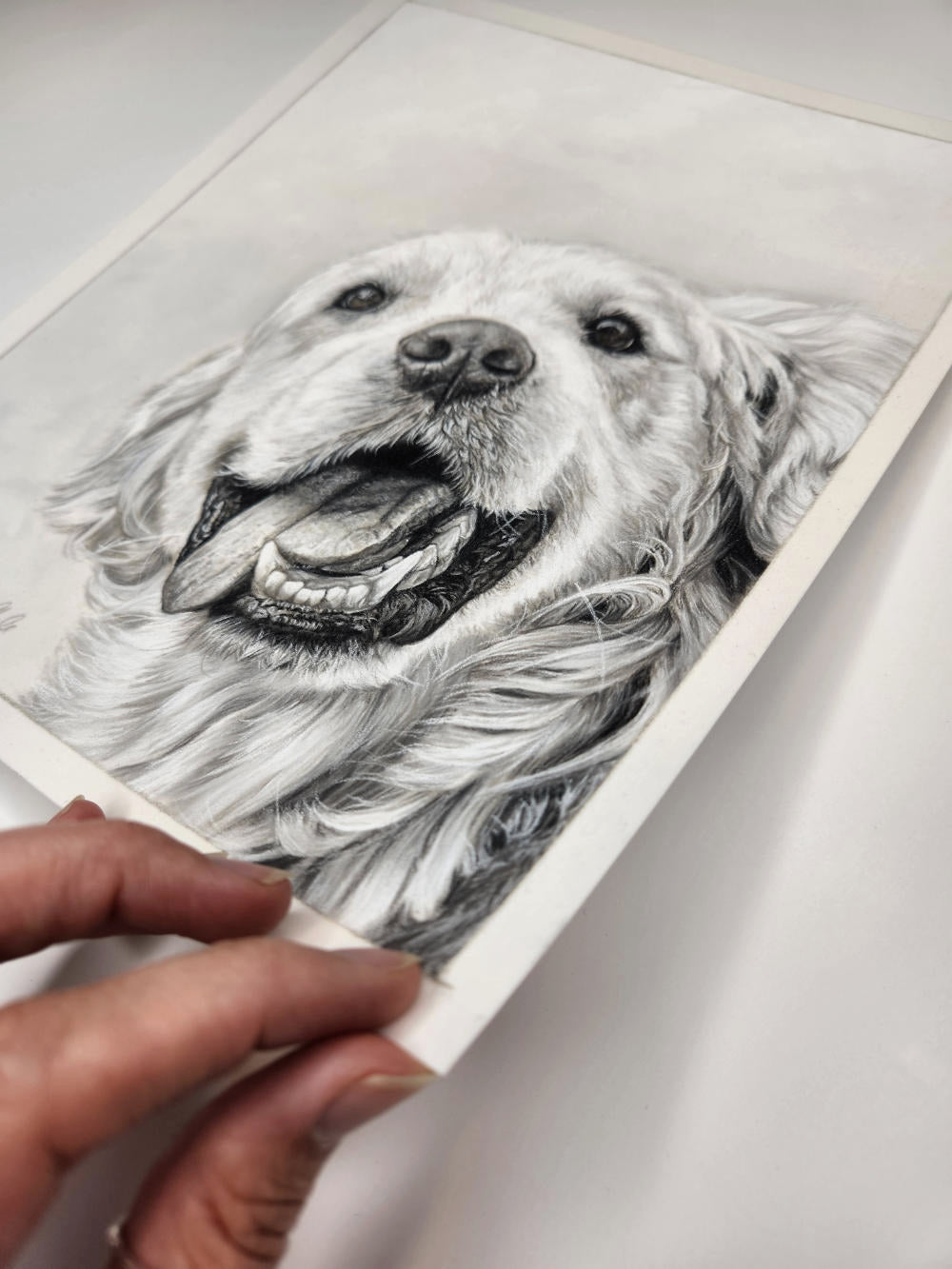 Hand holding a pastel sketch of a dog's face on a white background