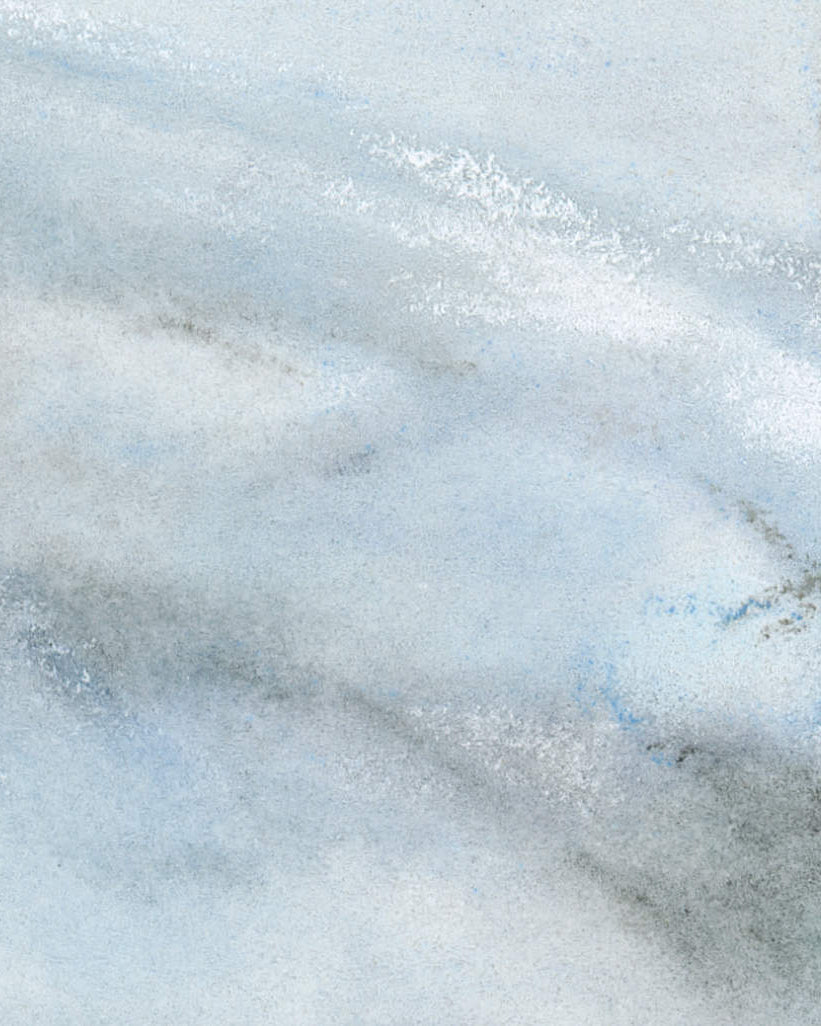 Pastel texture detail on swan drawing 'First Light'