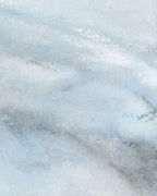 Pastel texture detail on swan drawing 'First Light'