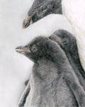 Penguin Fine Art Print 'You're Not Alone' image 0