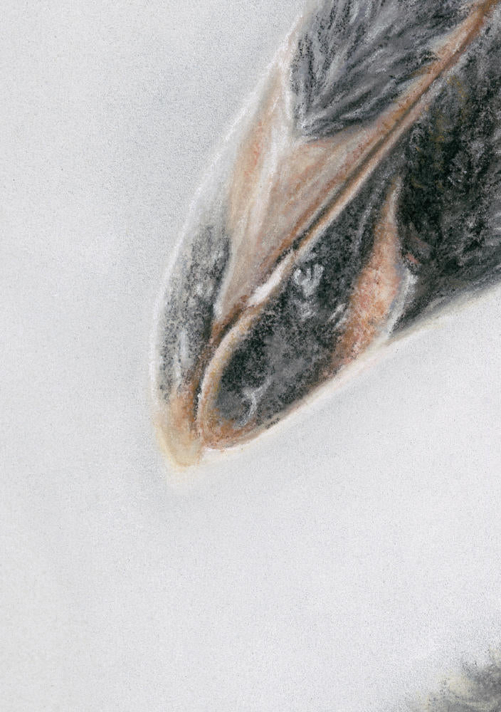 Penguin Fine Art Print 'You're Not Alone' image 1