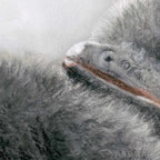 Penguin Fine Art Print 'You're Not Alone' image 3