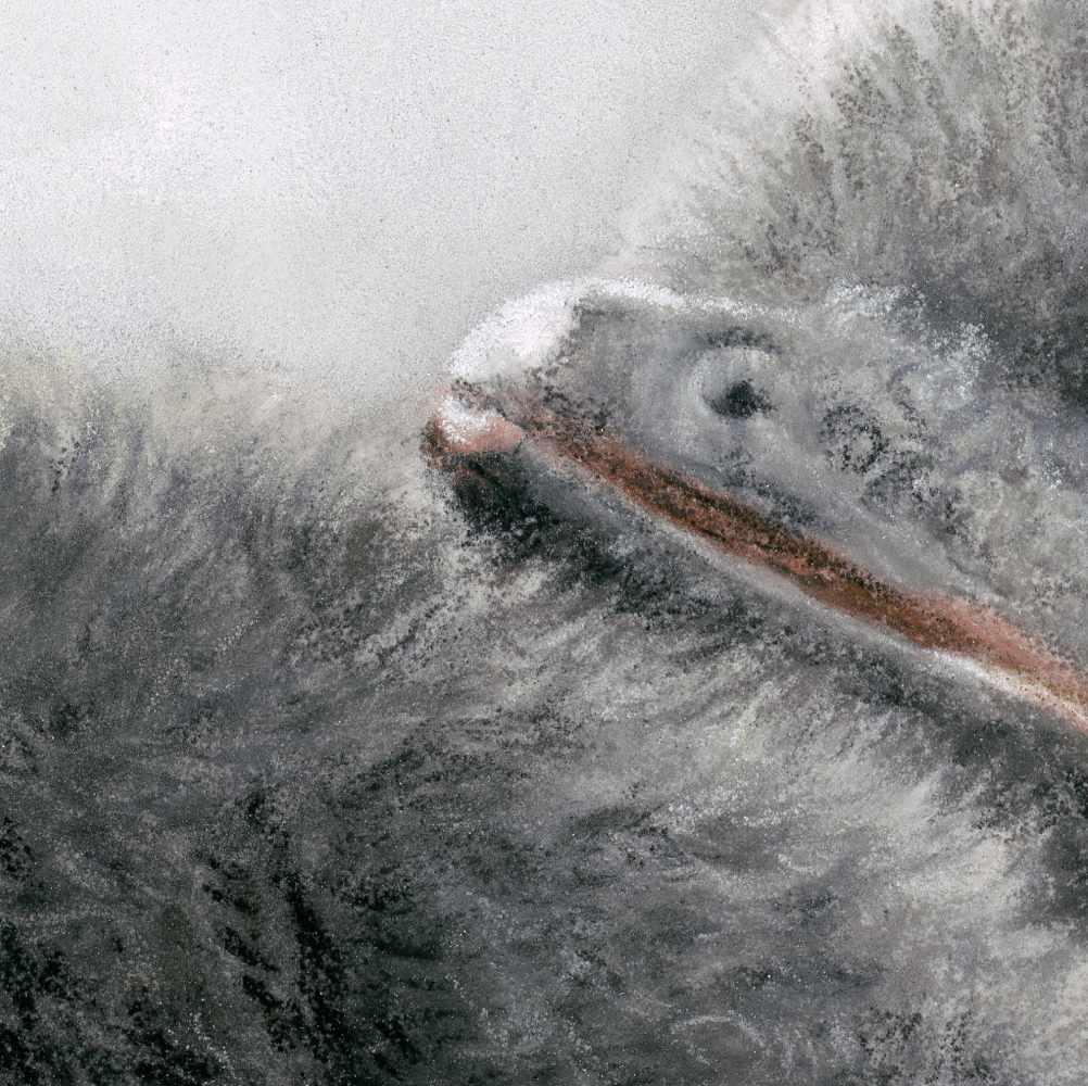 Penguin Fine Art Print 'You're Not Alone' image 3