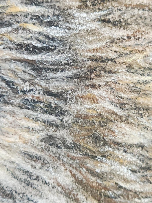 'Poppa Bear' Grizzly Fine Art Print image 5