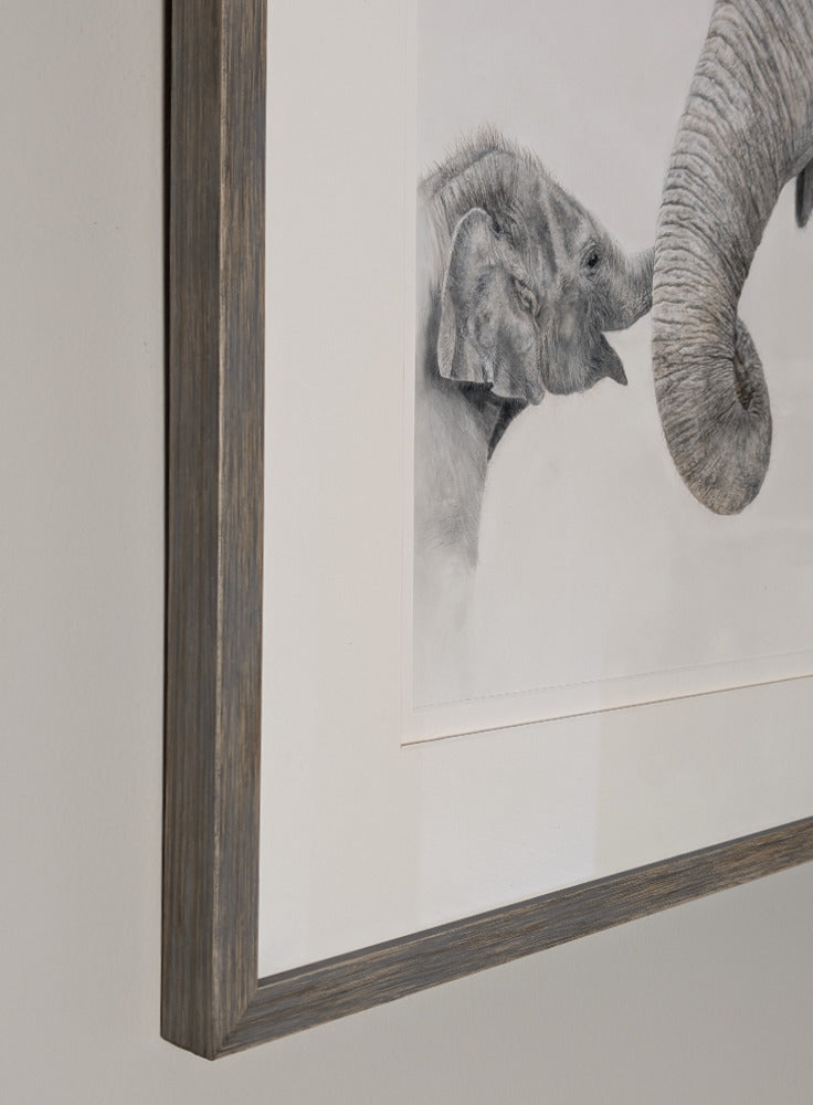 Framed artwork of two elephants embracing on a plain background 
