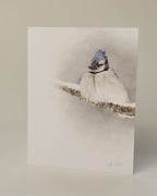 Blue Jay drawing on premium blank greeting card