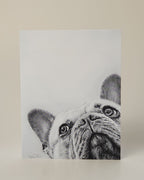 French bulldog greeting card with slight blue hue