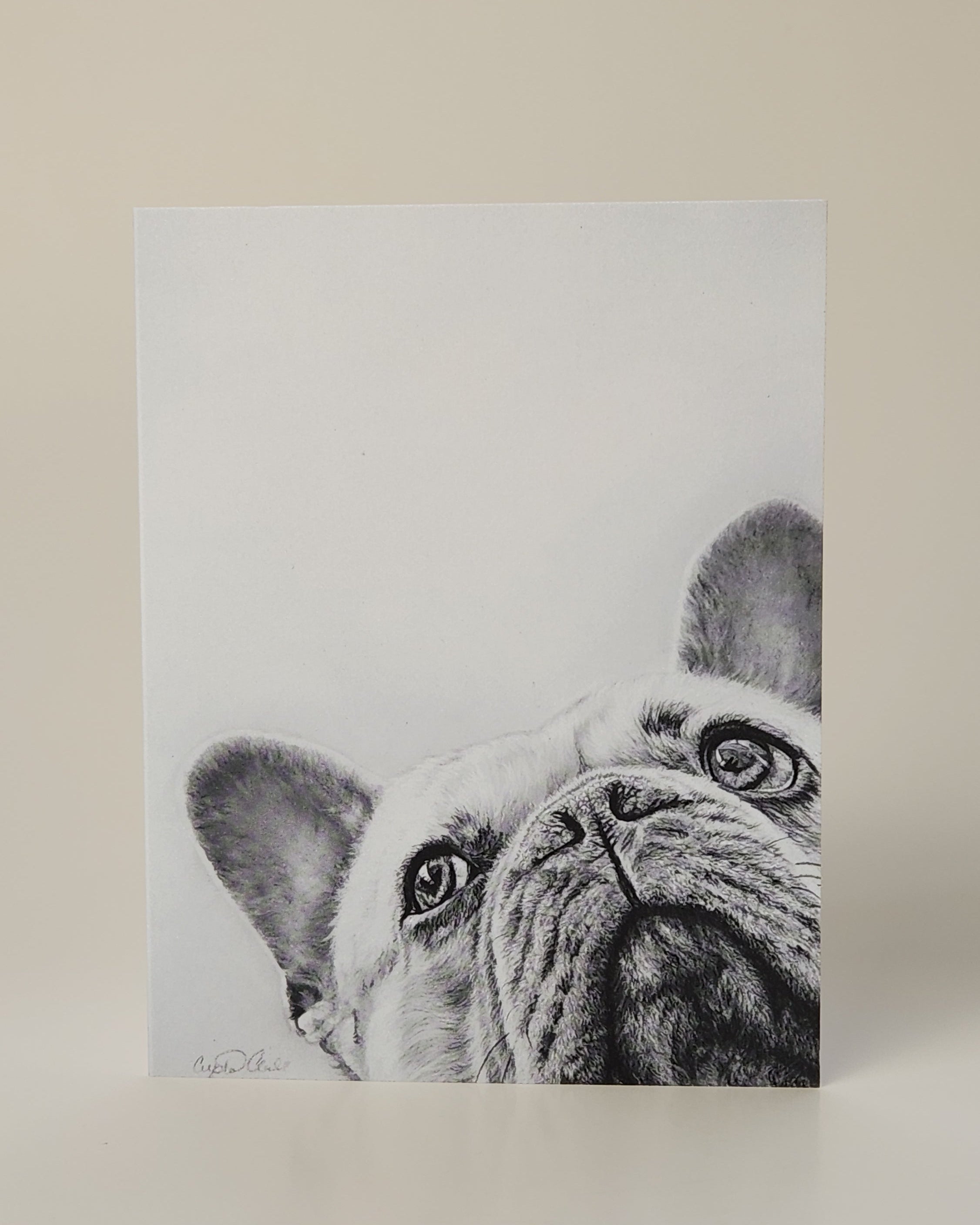 French bulldog greeting card with slight blue hue