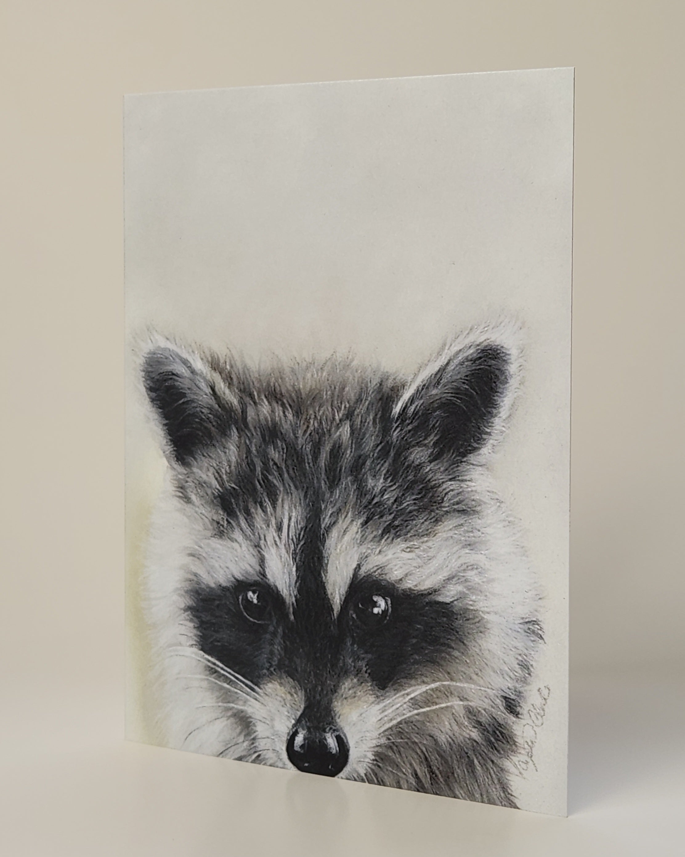 Raccoon drawing on premium blank greeting card