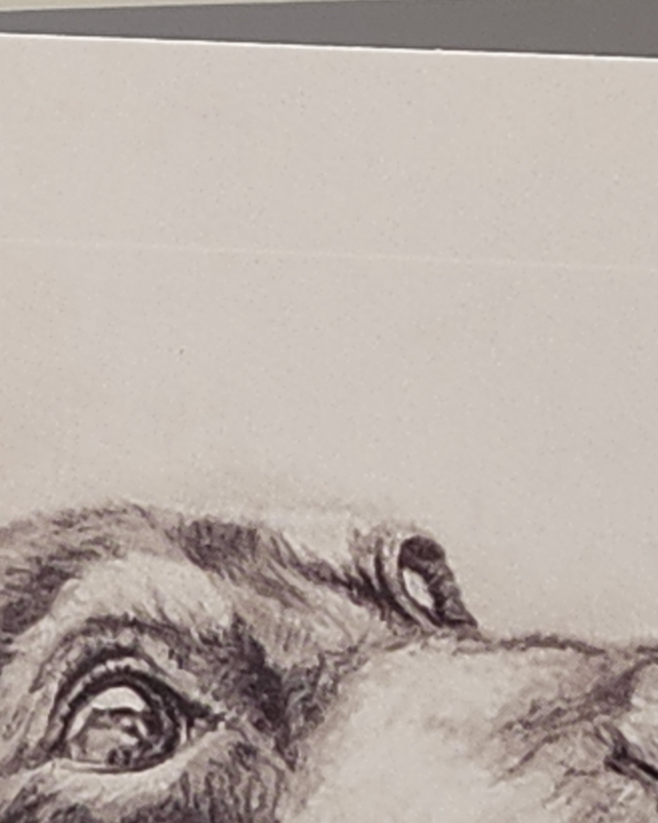 Close up of white line on card