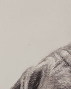 Boxer greeting card slight imperfections