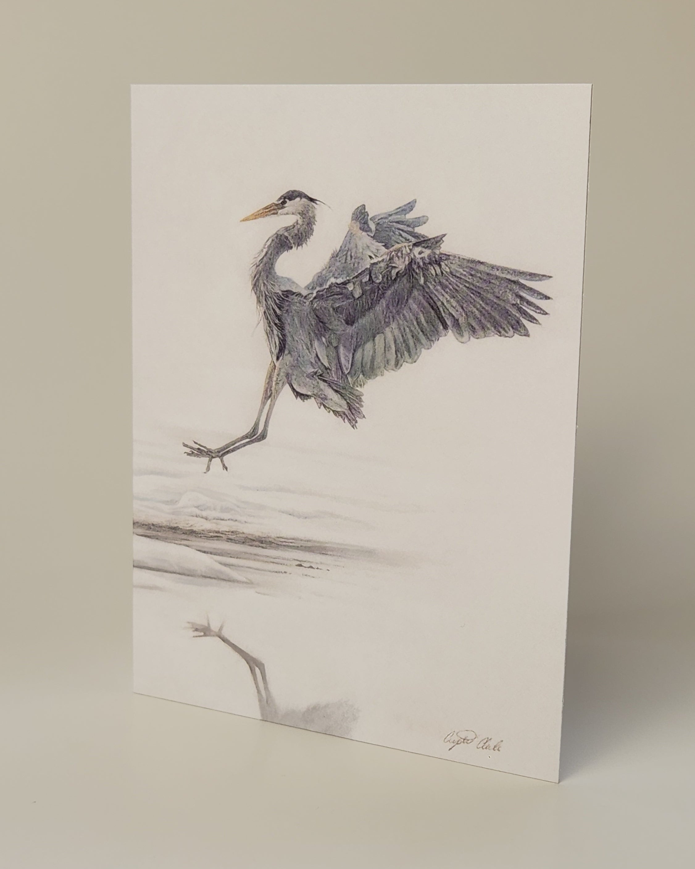 Blue heron greetin card for recycle sale 