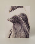 Drawing of two little penguins greeting card