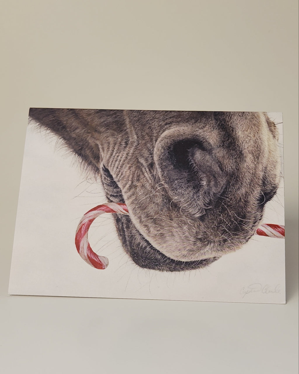 drawing of a horse with candy cane greeting card
