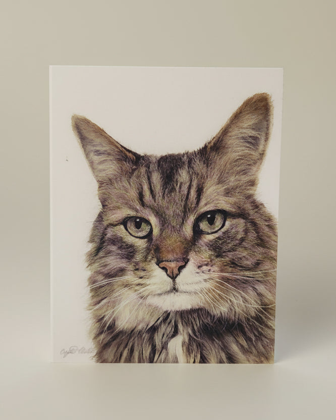 Cat drawing greeting card