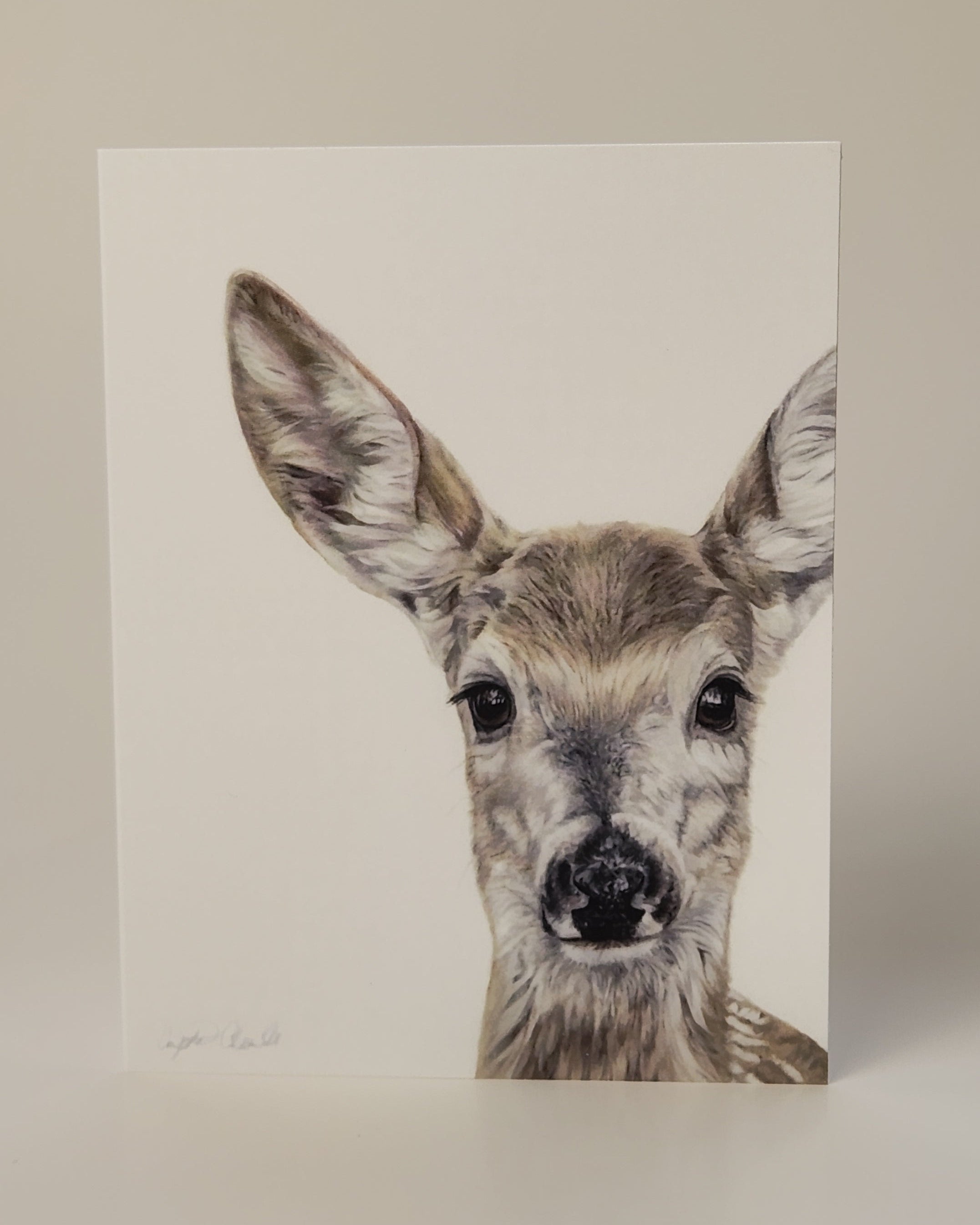 Greeting card of deer drawing slightly dark hue