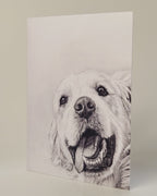 Golden retreiver drawing on premium blank greeting card