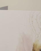 Close up of squirrel greeting card