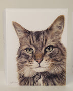Drawing of cat greeting card