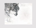 "She-Wolf" 14x11" Pastels on pastelmat image 2