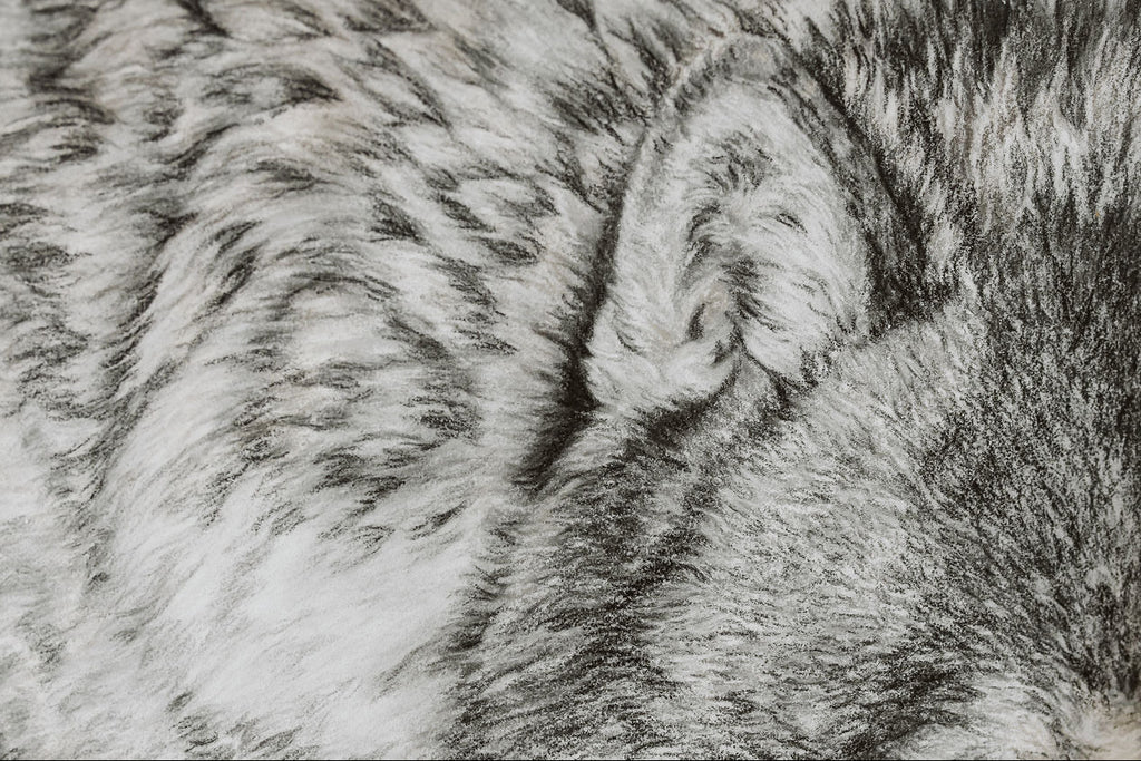 Close-up of a textured fur surface with a neutral color palette.