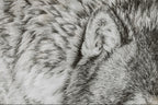 Close-up of a textured fur surface with a neutral color palette.